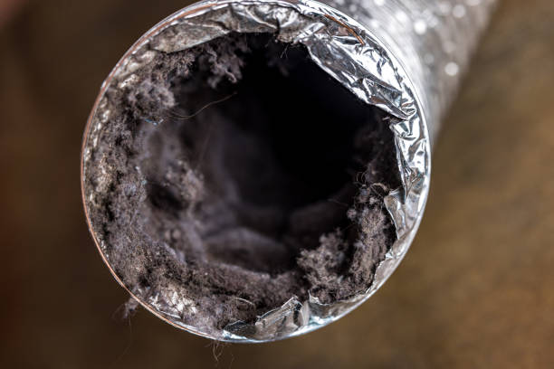 Best Residential Air Duct Cleaning  in Maplewood, WA