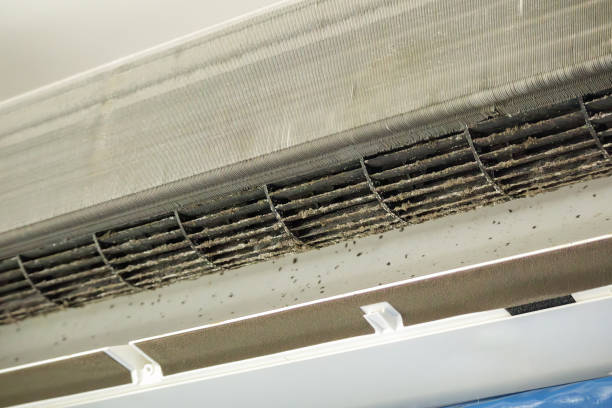 Best Best Air Duct Cleaning Company  in Maplewood, WA