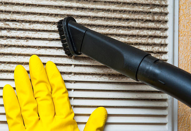 Best Local Air Duct Cleaning Services  in Maplewood, WA